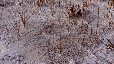 破解红色的粘土白色盐表面干河床沙漠墨西哥美国